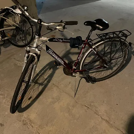 250m Mer, 2 Velos Avec Casques, Entierement Renove En 2025 דירה